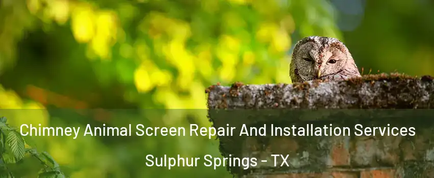  Chimney Animal Screen Repair And Installation Services Sulphur Springs - TX
