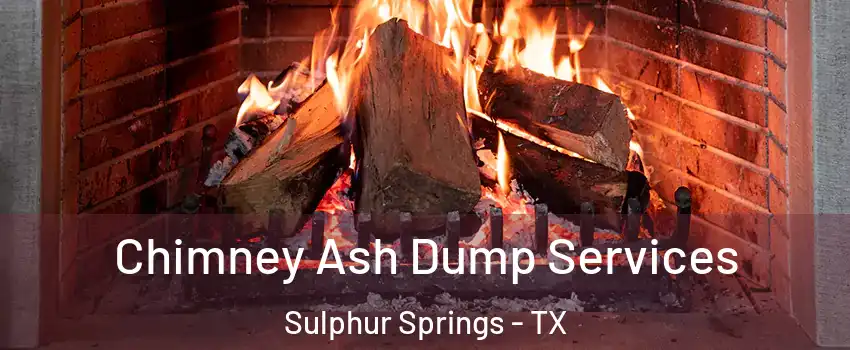  Chimney Ash Dump Services Sulphur Springs - TX