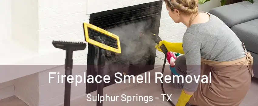  Fireplace Smell Removal Sulphur Springs - TX