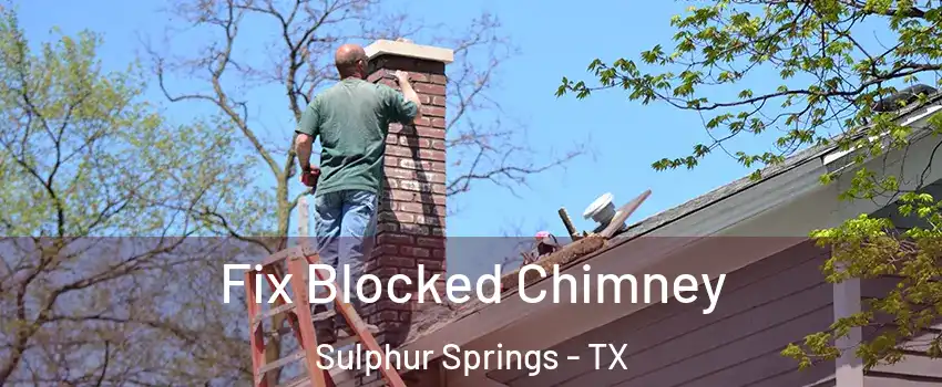  Fix Blocked Chimney Sulphur Springs - TX