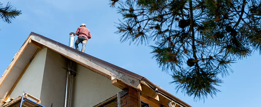 Birds Removal Contractors from Chimney in Sulphur Springs, TX