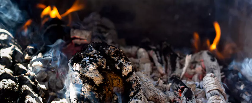 Creosote Removal Experts in Sulphur Springs, TX