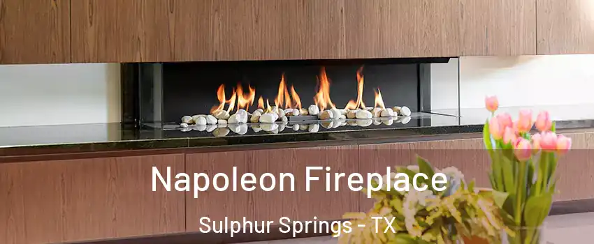  Napoleon Fireplace Sulphur Springs - TX
